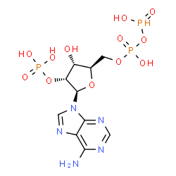 ChemSpider 2D Image | 5'-O-(Hydroxy{[hydroxy(oxido)phosphoranyl]oxy}phosphoryl)adenosine 2'-(dihydrogen phosphate) | C10H16N5O12P3