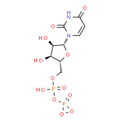 ChemSpider 2D Image | 5'-O-{Hydroxy[(3-oxido-3-dioxaphosphiranyl)oxy]phosphoryl}uridine | C9H12N2O12P2