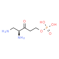 ChemSpider 2D Image | (4S)-4,5-Diamino-3-oxopentyl dihydrogen phosphate | C5H13N2O5P