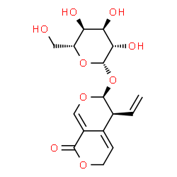 ChemSpider 2D Image | (5S,6S)-1-Oxo-5-vinyl-5,6-dihydro-1H,3H-pyrano[3,4-c]pyran-6-yl beta-D-altropyranoside | C16H20O9