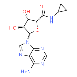 ChemSpider 2D Image | (2R,3S,4S,5S)-5-(6-Amino-9H-purin-9-yl)-N-cyclopropyl-3,4-dihydroxytetrahydro-2-furancarboxamide (non-preferred name) | C13H16N6O4