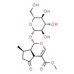 ChemSpider 2D Image | Methyl (1S,4aR,7R,7aR)-1-(beta-D-glucopyranosyloxy)-7-methyl-5-oxo-1,4a,5,6,7,7a-hexahydrocyclopenta[c]pyran-4-carboxylate | C17H24O10