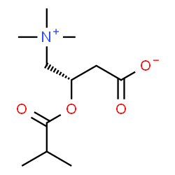 ChemSpider 2D Image | (3S)-3-(Isobutyryloxy)-4-(trimethylammonio)butanoate | C11H21NO4