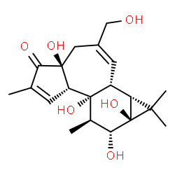 ChemSpider 2D Image | (1aR,1bR,4aS,7aS,7bR,8R,9R,9aS)-4a,7b,9,9a-Tetrahydroxy-3-(hydroxymethyl)-1,1,6,8-tetramethyl-1,1a,1b,4,4a,7a,7b,8,9,9a-decahydro-5H-cyclopropa[3,4]benzo[1,2-e]azulen-5-one | C20H28O6