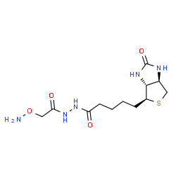 ChemSpider 2D Image | N'-[(Aminooxy)acetyl]-5-[(3aR,4S,6aR)-2-oxohexahydro-1H-thieno[3,4-d]imidazol-4-yl]pentanehydrazide | C12H21N5O4S