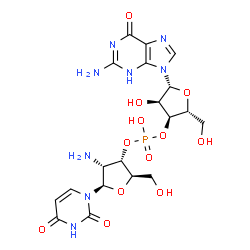 ChemSpider 2D Image | (2R,3S,4R,5R)-4-Amino-5-(2,4-dioxo-3,4-dihydro-1(2H)-pyrimidinyl)-2-(hydroxymethyl)tetrahydro-3-furanyl (2R,3S,4R,5R)-5-(2-amino-6-oxo-3,6-dihydro-9H-purin-9-yl)-4-hydroxy-2-(hydroxymethyl)tetrahydro-
3-furanyl hydrogen phosphate (non-preferred name) | C19H25N8O12P