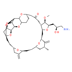 ChemSpider 2D Image | (1S,3S,6S,9S,12S,14R,16R,18S,20R,21R,22S,26R,31R,32S,33R,35R)-20-[(2S)-3-Amino-2-hydroxypropyl]-21-methoxy-14-methyl-8,15-bis(methylene)-2,19,30,34,37,39,40,41-octaoxanonacyclo[24.9.2.1~3,32~.1~3,33~.
1~6,9~.1~12,16~.0~18,22~.0~29,36~.0~31,35~]hentetracontan-24-one | C40H59NO11