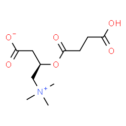ChemSpider 2D Image | (3R)-3-[(3-Carboxypropanoyl)oxy]-4-(trimethylammonio)butanoate | C11H19NO6