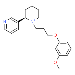 ChemSpider 2D Image | (2R)-1-[3-(3-Methoxyphenoxy)propyl]-2-(3-pyridinyl)piperidinium | C20H27N2O2