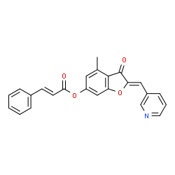 ChemSpider 2D Image | (2Z)-4-Methyl-3-oxo-2-(3-pyridinylmethylene)-2,3-dihydro-1-benzofuran-6-yl (2E)-3-phenylacrylate | C24H17NO4