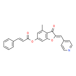 ChemSpider 2D Image | (2Z)-4-Methyl-3-oxo-2-(4-pyridinylmethylene)-2,3-dihydro-1-benzofuran-6-yl (2E)-3-phenylacrylate | C24H17NO4