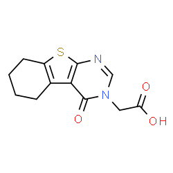 ChemSpider 2D Image | (4-Oxo-5,6,7,8-tetrahydro[1]benzothieno[2,3-d]pyrimidin-3(4H)-yl)acetic acid | C12H12N2O3S