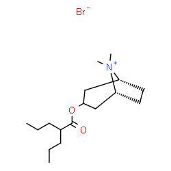 ChemSpider 2D Image | (1R,5R)-8,8-Dimethyl-3-[(2-propylpentanoyl)oxy]-8-azoniabicyclo[3.2.1]octane bromide | C17H32BrNO2