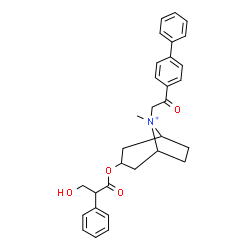 ChemSpider 2D Image | 8-[2-(4-Biphenylyl)-2-oxoethyl]-3-[(3-hydroxy-2-phenylpropanoyl)oxy]-8-methyl-8-azoniabicyclo[3.2.1]octane | C31H34NO4