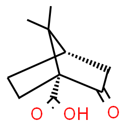 ChemSpider 2D Image | (1R,4S)-7,7-Dimethyl-2-oxobicyclo[2.2.1]heptane-1-carboxylic acid | C10H14O3