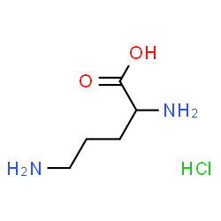 ChemSpider 2D Image | ornithine monohydrochloride | C5H13ClN2O2