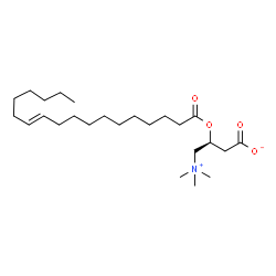 ChemSpider 2D Image | (3S)-3-[(11E)-11-Octadecenoyloxy]-4-(trimethylammonio)butanoate | C25H47NO4
