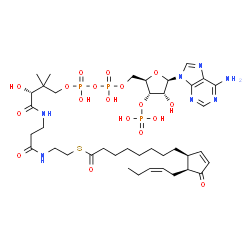ChemSpider 2D Image | S-{(9R)-1-[(2R,3S,4R,5R)-5-(6-Amino-9H-purin-9-yl)-4-hydroxy-3-(phosphonooxy)tetrahydro-2-furanyl]-3,5,9-trihydroxy-8,8-dimethyl-3,5-dioxido-10,14-dioxo-2,4,6-trioxa-11,15-diaza-3lambda~5~,5lambda~5~-
diphosphaheptadecan-17-yl} 8-{(1S,5S)-4-oxo-5-[(2Z)-2-penten-1-yl]-2-cyclopenten-1-yl}octanethioate (non-preferred name) | C39H62N7O18P3S