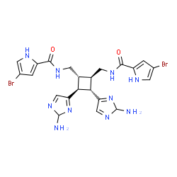 ChemSpider 2D Image | N,N'-{[(1R,2R,3S,4S)-3,4-Bis(2-amino-2H-imidazol-4-yl)-1,2-cyclobutanediyl]bis(methylene)}bis(4-bromo-1H-pyrrole-2-carboxamide) | C22H24Br2N10O2