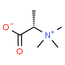 ChemSpider 2D Image | (2S)-2-(Trimethylammonio)propanoate | C6H13NO2