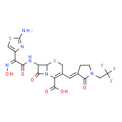 ChemSpider 2D Image | 7-{[(2Z)-2-(2-Amino-1,3-thiazol-4-yl)-2-(hydroxyimino)acetyl]amino}-8-oxo-3-{(E)-[2-oxo-1-(2,2,2-trifluoroethyl)-3-pyrrolidinylidene]methyl}-5-thia-1-azabicyclo[4.2.0]oct-2-ene-2-carboxylic acid | C19H17F3N6O6S2