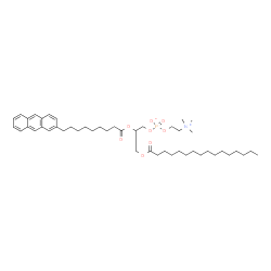 ChemSpider 2D Image | 2-{[9-(2-Anthryl)nonanoyl]oxy}-3-(palmitoyloxy)propyl 2-(trimethylammonio)ethyl phosphate | C47H74NO8P