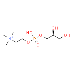 ChemSpider 2D Image | 2-({[(2S)-2,3-Dihydroxypropoxy](hydroxy)phosphoryl}oxy)-N,N,N-trimethylethanaminium | C8H21NO6P
