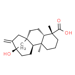 ChemSpider 2D Image | (5beta,8alpha,10alpha)-13-Hydroxykaur-16-en-18-oic acid | C20H30O3