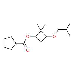 ChemSpider 2D Image | 3-Isobutoxy-2,2-dimethylcyclobutyl cyclopentanecarboxylate | C16H28O3