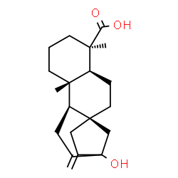 ChemSpider 2D Image | (5beta,8alpha,9beta,10alpha)-13-Hydroxykaur-16-en-18-oic acid | C20H30O3