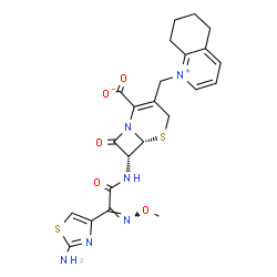 ChemSpider 2D Image | (6R,7R)-7-{[(2Z)-2-(2-Amino-1,3-thiazol-4-yl)-2-(methoxyimino)acetyl]amino}-8-oxo-3-(5,6,7,8-tetrahydro-1-quinoliniumylmethyl)-5-thia-1-azabicyclo[4.2.0]oct-2-ene-2-carboxylate | C23H24N6O5S2