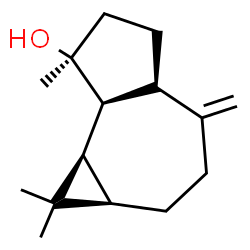ChemSpider 2D Image | (1aR,4aR,7S,7aS,7bR)-1,1,7-Trimethyl-4-methylenedecahydro-1H-cyclopropa[e]azulen-7-ol | C15H24O