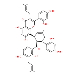 ChemSpider 2D Image | 8-[(1S,5S,6R)-6-[2,4-Dihydroxy-3-(3-methyl-2-buten-1-yl)benzoyl]-5-(2,4-dihydroxyphenyl)-3-methyl-2-cyclohexen-1-yl]-2-(2,4-dihydroxyphenyl)-5,7-dihydroxy-3-(3-methyl-2-buten-1-yl)-4H-chromen-4-one | C45H44O11