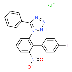 ChemSpider 2D Image | 1-(4'-Iodo-6-nitro-2-biphenylyl)-5-phenyl-2H-tetrazol-1-ium chloride | C19H13ClIN5O2