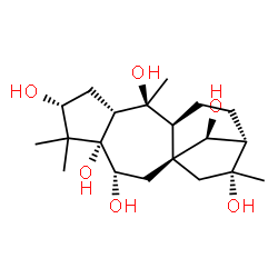 ChemSpider 2D Image | (1beta,3alpha,5alpha,6alpha,8beta,9alpha,10alpha,13beta,14S)-Grayanotoxane-3,5,6,10,14,16-hexol | C20H34O6