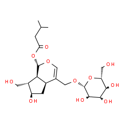 ChemSpider 2D Image | (1S,4aS,6R,7S,7aS)-4-[(beta-D-Glucopyranosyloxy)methyl]-6-hydroxy-7-(hydroxymethyl)-1,4a,5,6,7,7a-hexahydrocyclopenta[c]pyran-1-yl 3-methylbutanoate | C21H34O11