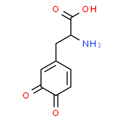 ChemSpider 2D Image | dopaquinone | C9H9NO4