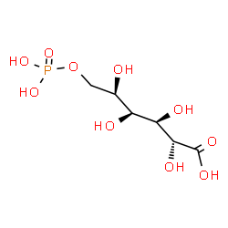 ChemSpider 2D Image | 6-O-Phosphono-D-gulonic acid | C6H13O10P