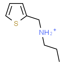 ChemSpider 2D Image | N-(2-Thienylmethyl)-1-propanaminium | C8H14NS