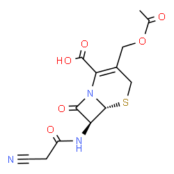 ChemSpider 2D Image | (6R,7S)-3-(Acetoxymethyl)-7-[(cyanoacetyl)amino]-8-oxo-5-thia-1-azabicyclo[4.2.0]oct-2-ene-2-carboxylic acid | C13H13N3O6S