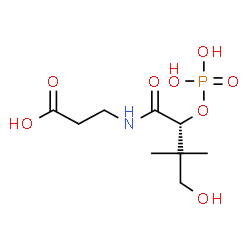 ChemSpider 2D Image | N-[(2R)-4-Hydroxy-3,3-dimethyl-2-(phosphonooxy)butanoyl]-beta-alanine | C9H18NO8P