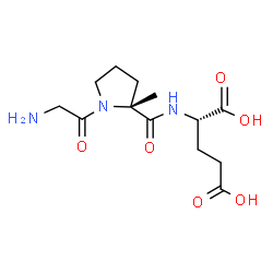 ChemSpider 2D Image | Glycyl-2-methyl-D-prolyl-L-glutamic acid | C13H21N3O6