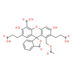 ChemSpider 2D Image | 8'-(Acetoxymethyl)-2',7'-bis(2-carboxyethyl)-3',6'-dihydroxy-3-oxo-3H-spiro[2-benzofuran-1,9'-xanthene]-4'-carboxylic acid | C30H24O13