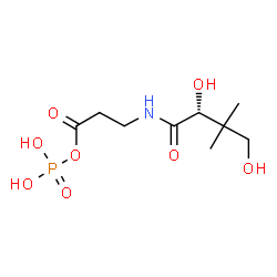ChemSpider 2D Image | 3-{[(2R)-2,4-Dihydroxy-3,3-dimethylbutanoyl]amino}propanoyl dihydrogen phosphate | C9H18NO8P