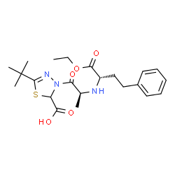 ChemSpider 2D Image | 3-{N-[(2S)-1-Ethoxy-1-oxo-4-phenyl-2-butanyl]-L-alanyl}-5-(2-methyl-2-propanyl)-2,3-dihydro-1,3,4-thiadiazole-2-carboxylic acid | C22H31N3O5S
