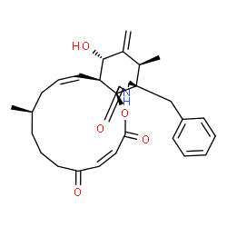 ChemSpider 2D Image | (3Z,9R,11Z,12aS,13S,15S,15aS,16S,18aR)-16-Benzyl-13-hydroxy-9,15-dimethyl-14-methylene-6,7,8,9,10,12a,13,14,15,15a,16,17-dodecahydro-2H-oxacyclotetradecino[2,3-d]isoindole-2,5,18-trione | C29H35NO5