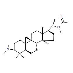 ChemSpider 2D Image | N-Methyl-N-[(3beta,5alpha,9beta,20S)-4,4,14-trimethyl-3-(methylamino)-9,19-cyclopregnan-20-yl]acetamide | C28H48N2O