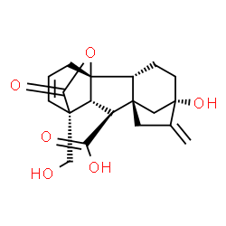 ChemSpider 2D Image | (1R,2R,5S,8S,9S,10R,11R)-5-Hydroxy-11-(hydroxymethyl)-6-methylene-16-oxo-15-oxapentacyclo[9.3.2.1~5,8~.0~1,10~.0~2,8~]heptadec-12-ene-9-carboxylic acid | C19H22O6
