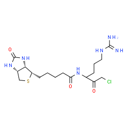 ChemSpider 2D Image | N-(6-Carbamimidamido-1-chloro-2-oxo-3-hexanyl)-5-[(3aS,4S,6aR)-2-oxohexahydro-1H-thieno[3,4-d]imidazol-4-yl]pentanamide | C17H29ClN6O3S