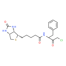 ChemSpider 2D Image | N-(4-Chloro-3-oxo-1-phenyl-2-butanyl)-5-[(3aS,4S,6aR)-2-oxohexahydro-1H-thieno[3,4-d]imidazol-4-yl]pentanamide | C20H26ClN3O3S
